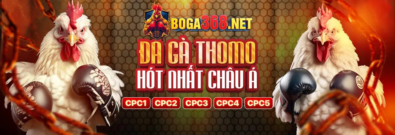 Tham gia av888 bet ngay